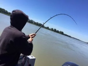 pitt lake fishing