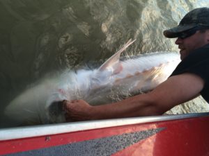 vancouver fishing guide